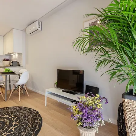 Apartamento Sardoal - Minho's Guest Appartamento Braga